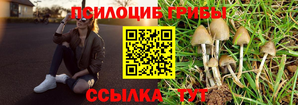 Псилоцибиновые грибы MAGIC MUSHROOMS Медногорск