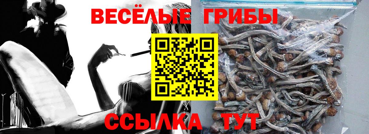 Псилоцибиновые грибы MAGIC MUSHROOMS  Вход с VPN  Медногорск  Галлюциногенные грибы Psilocybe 